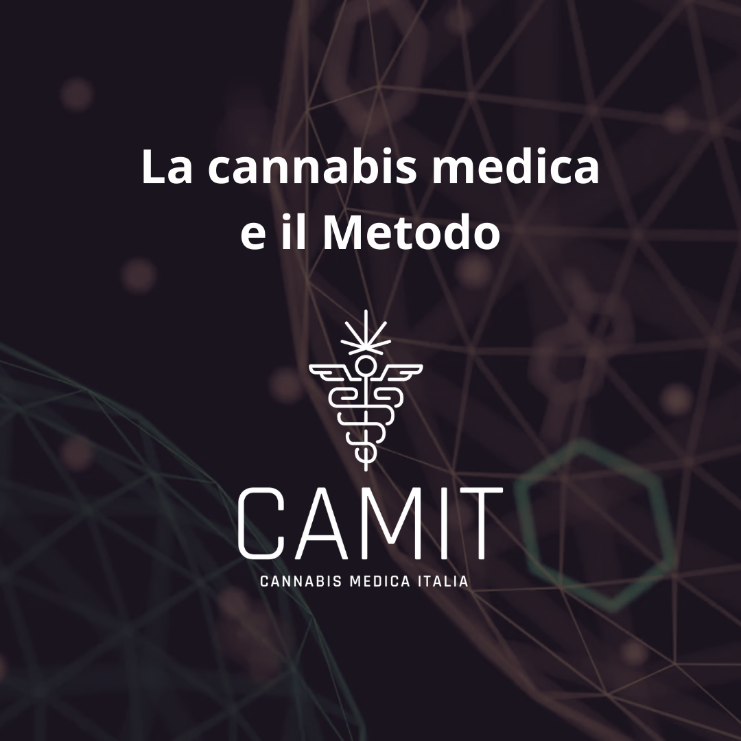 Metodo Camit – Accesso alla terapia