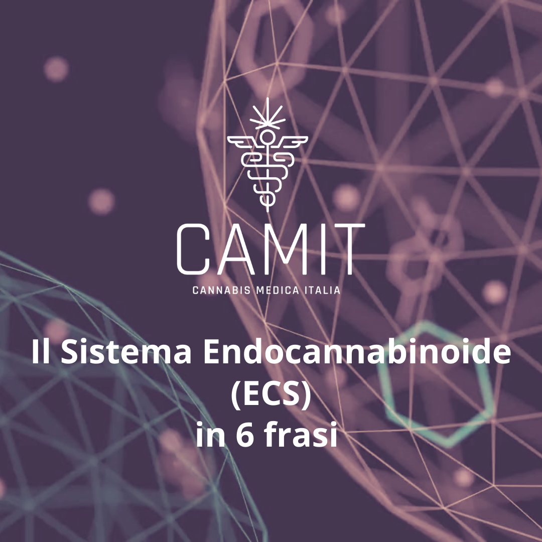 ECS – Fondamenti