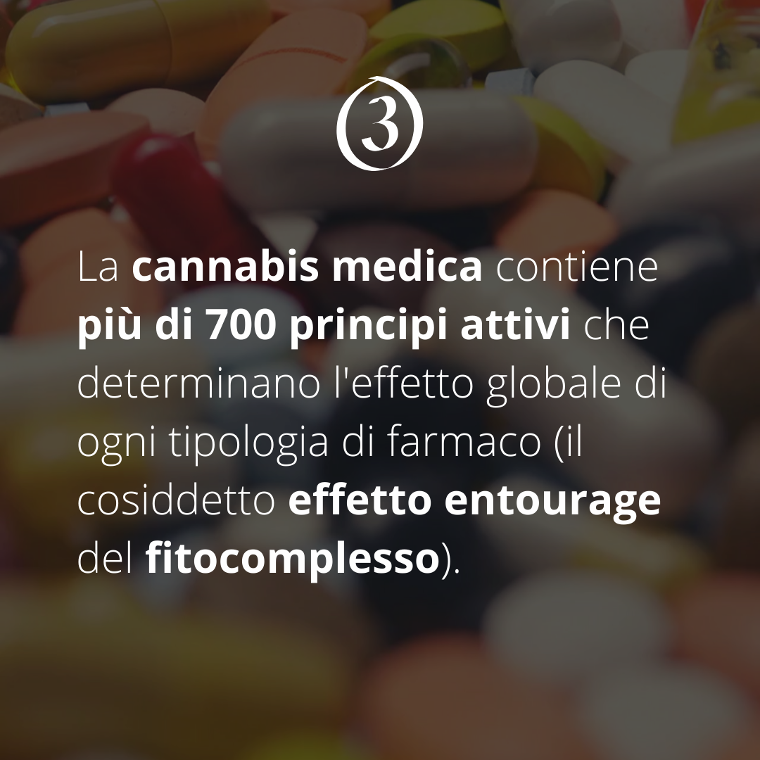 Metodo Camit – Teleassistenza