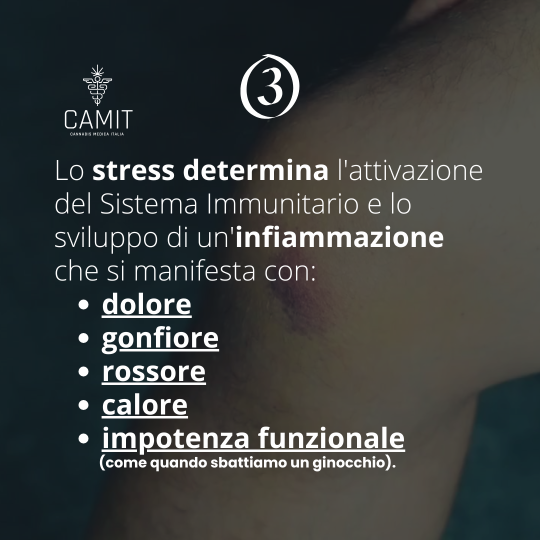 ECS – Modulazione