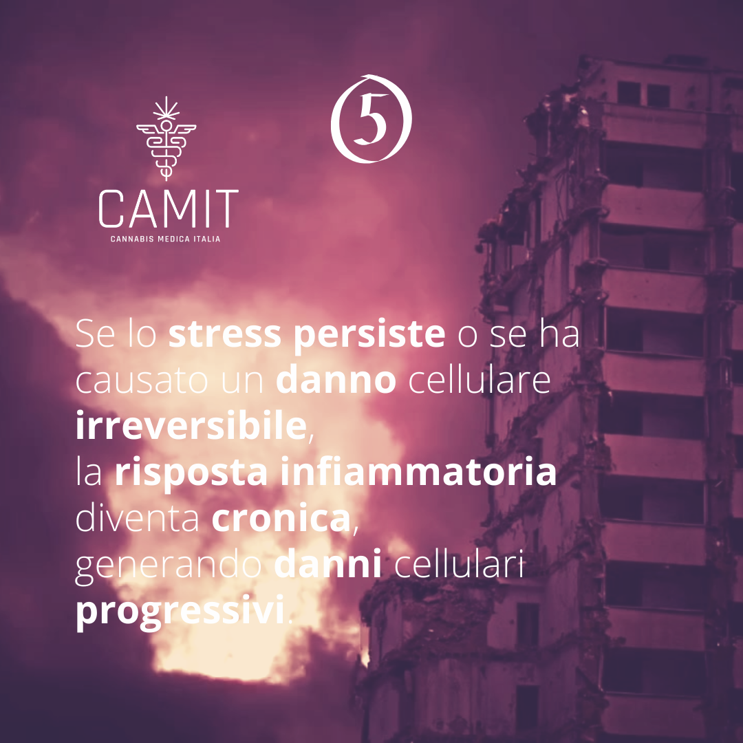 ECS – Omeostasi