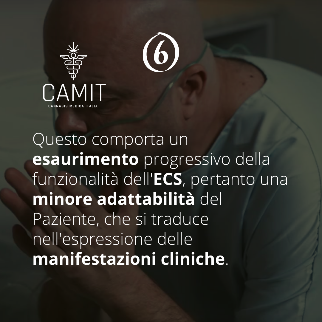 ECS – Sicurezza e precauzioni
